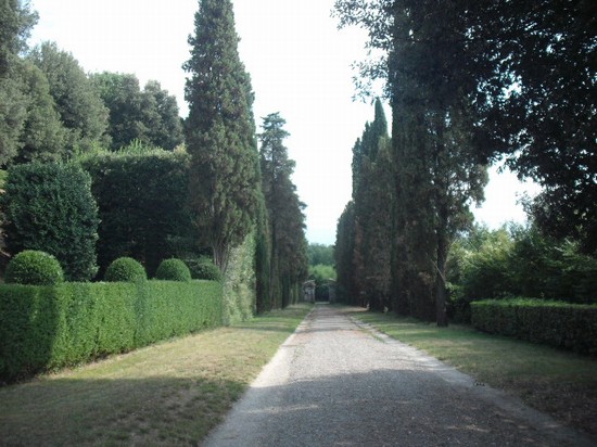 Photo villa oliva lucca in Lucca - Pictures and Images of Lucca 
