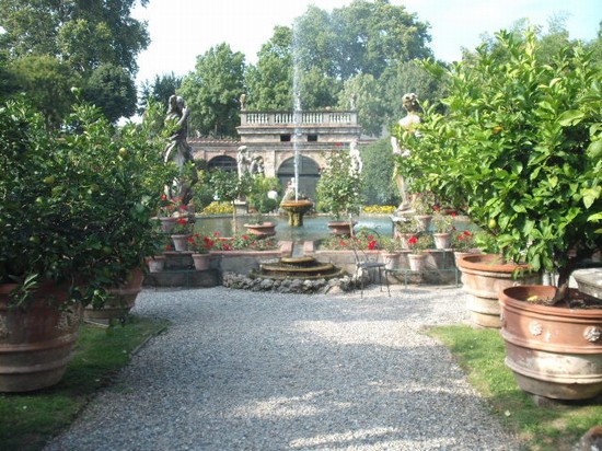 Photo palazzo pfanner lucca in Lucca - Pictures and Images of Lucca 