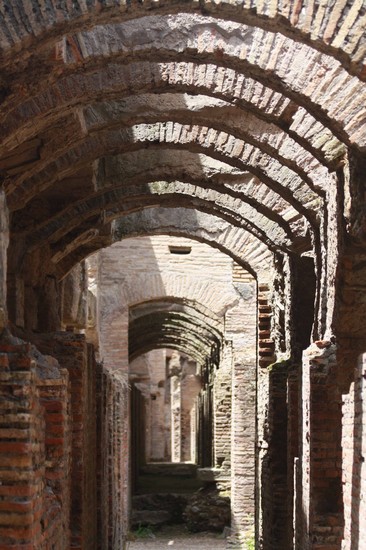 Photo colosseo roma in Rome - Pictures and Images of Rome 