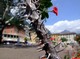 di&nbsp;Redazione