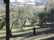 di&nbsp;Antonella