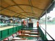 of&nbsp;Feng
