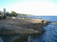 di&nbsp;Fede