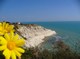 of&nbsp;Pasquale