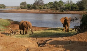 Getting around East Africa