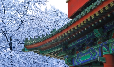 Pékin