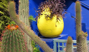I giardini di Marrakech