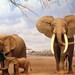 In Sudafrica