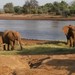Getting around East Africa