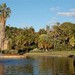 Un'oasi verde nel cuore di Sydney