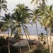 Goa: Headonism and History