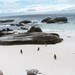 Cape Town e la Table Mountain
