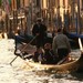 Venecia