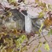 Roma - 5 giorni in nome dell'arte