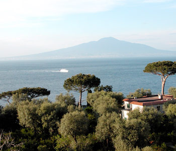 Vista