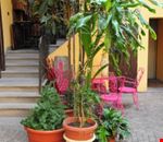 Giardino Giardino