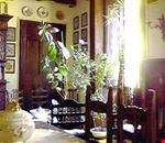 Salone Salone