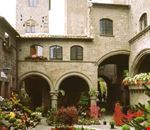 I dintorni del B&B I dintorni del B&B