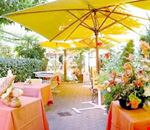 Terrazza Terrazza