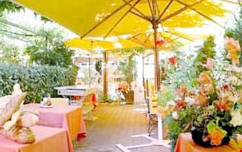 Terrazza Terrazza