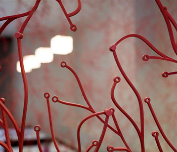 Decorazioni