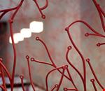Decorazioni Decorazioni