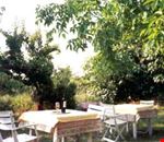 Giardino Giardino