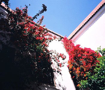 Esterno