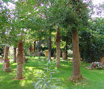 Giardino