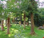 Giardino Giardino