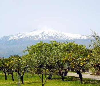 Vista dalla stanza