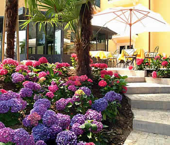 Terrazza