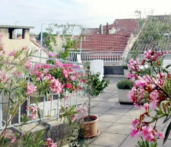 Terrazza