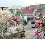 Terrazza Terrazza