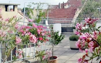 Terrazza Terrazza