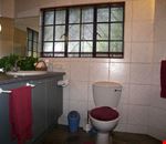 Bagno Bagno