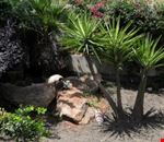 Giardino Giardino