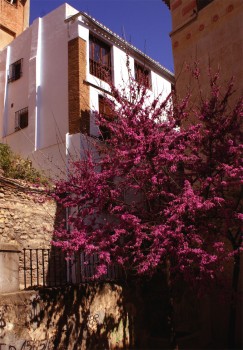 Esterno