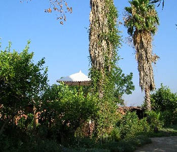 Parco