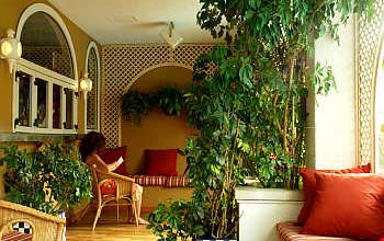 Salone Salone