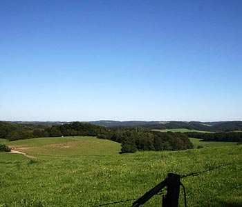 Vista