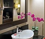 Bagno Bagno