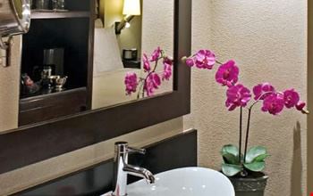 Bagno Bagno