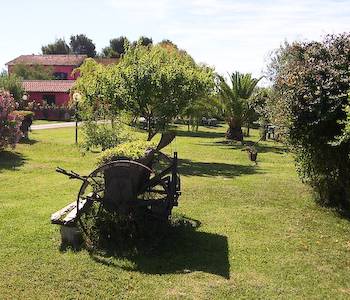 Giardino