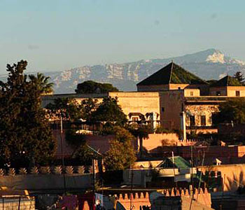 Vista