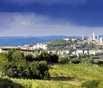 Vista