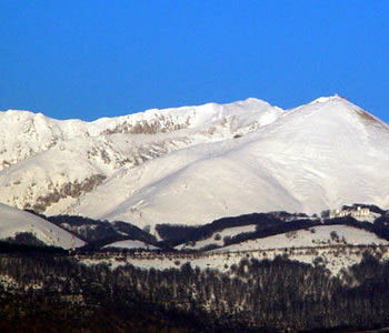 Vista