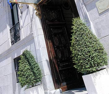 L'entrata