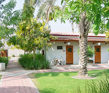 Esterno