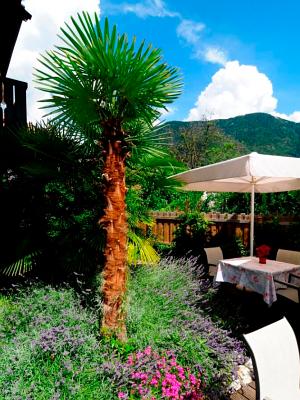 Giardino